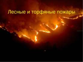 Лесные и торфяные пожары