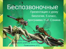 Беспозвоночные