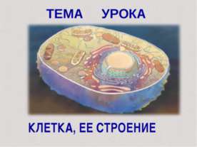 Клетка, её строение