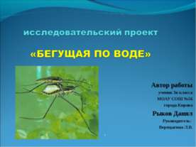 Бегущая по воде