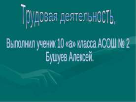 Трудовая деятельность (10 класс)