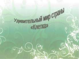 Удивительный мир страны «Клетка»