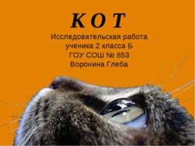 Кот