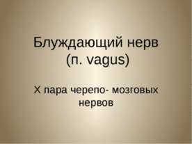 Блуждающий нерв