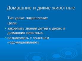Домашние и дикие животные