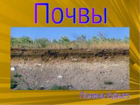 Почвы