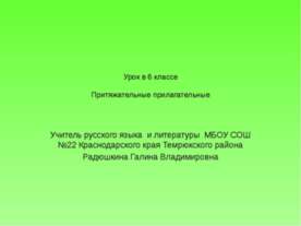 Притяжательные прилагательные 6 класс
