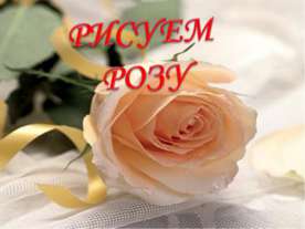 Рисуем розу