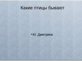 Какие птицы бывают