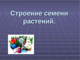 Строение семени растений