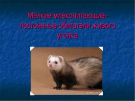 Мелкие млекопитающие- постоянные обитатели живого уголка
