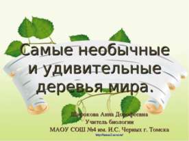Самые удивительные и необычные деревья мира