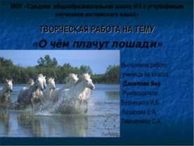 О чём плачут лошади