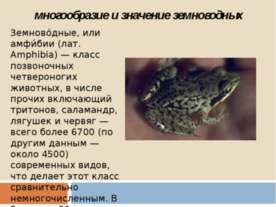 Многообразие и значение земноводных