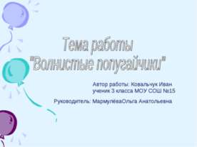 Волнистые попугайчики