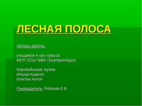 Лесная полоса
