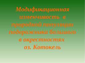 Модификационная изменчивость в природной популяции подорожника большого в окр...