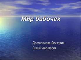 Мир бабочек
