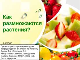 Как размножаются растения