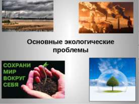 Основные экологические проблемы