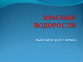 Красные водоросли