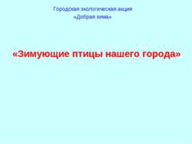 Зимующие птицы нашего города