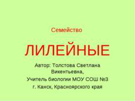 Семейство Лилейные