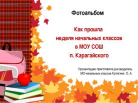 Как прошла неделя начальных классов в МОУ СОШ п. Карагайского