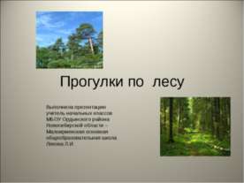 Прогулки по лесу