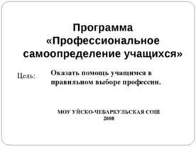Программа «Профессиональное самоопределение учащихся»