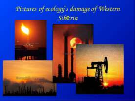 Pictures of ecology’s damage of Western Siberia