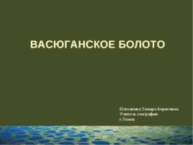 Васюганское болото