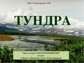 Тундра 4 класс