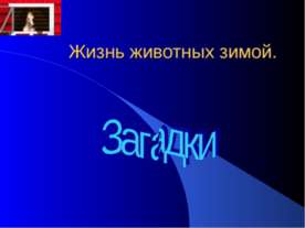 Жизнь животных зимой Загадки