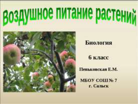 Воздушное питание растений 6 класс