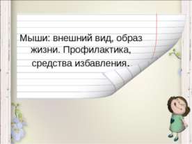 Мыши: внешний вид, образ жизни. Профилактика, средства избавления