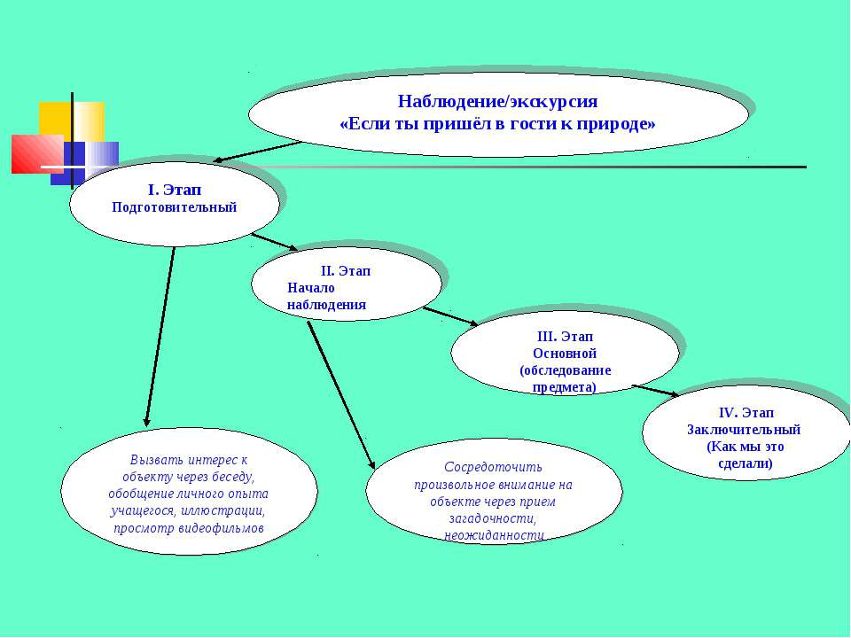 Опишите по схеме приведенной на уроке экологическую нишу бобра обыкновенного или сосны обыкновенной