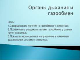Органы дыхания и газообмен