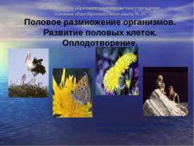 Половое размножение организмов. Развитие половых клеток. Оплодотворение