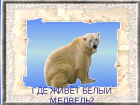 Где живёт белый медведь?