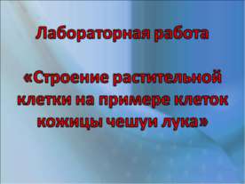 Строение растительной клетки на примере клеток кожицы чешуи лука