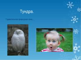 ТУНДРА