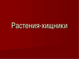 Растения-хищники