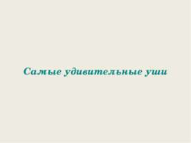 Самые удивительные уши