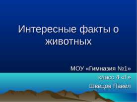Интересные факты о животных