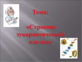 Строение эукариотической клетки