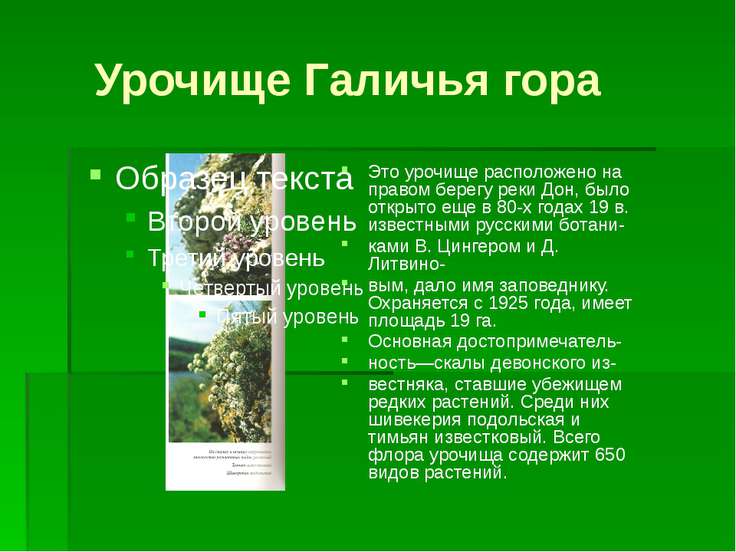 Заповедник галичья гора в липецкой области презентация