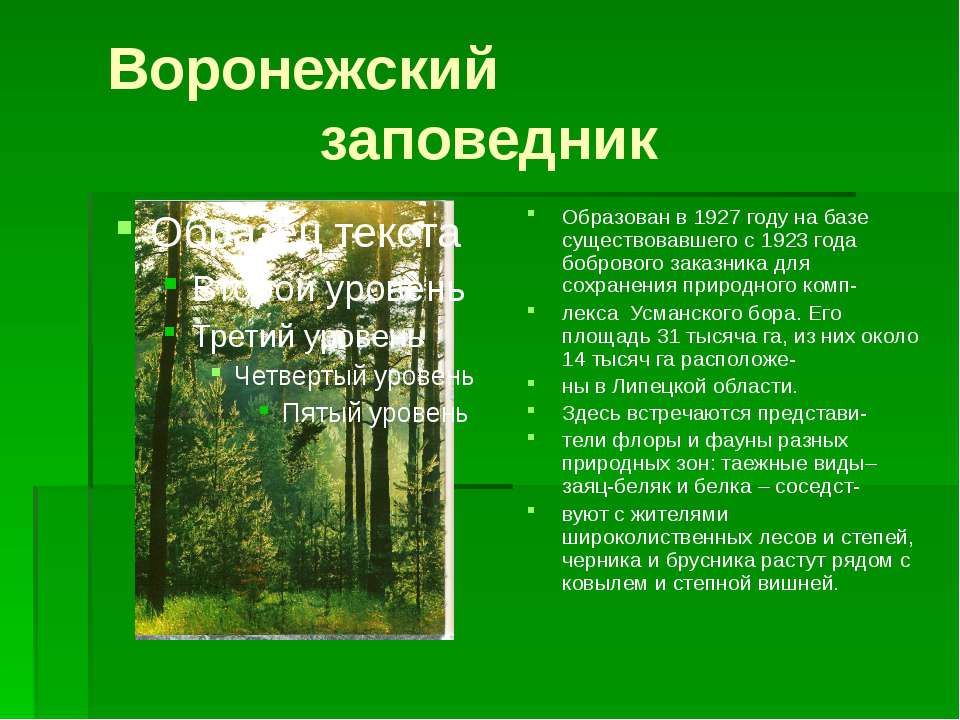 Заповедники воронежской области презентация