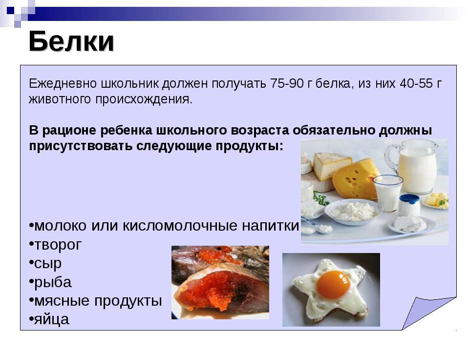 Белковая диета презентация
