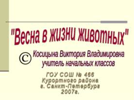 Весна в жизни животных